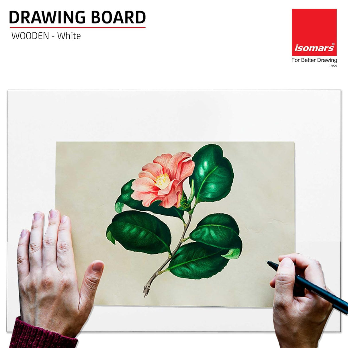 Isomars Drawing Both Side Laminated White Board - Full Imperial A3 (14x20 Inch) Size Board – for Artists, Architects, Engineers, Draftsmen Etc. (A3-White)