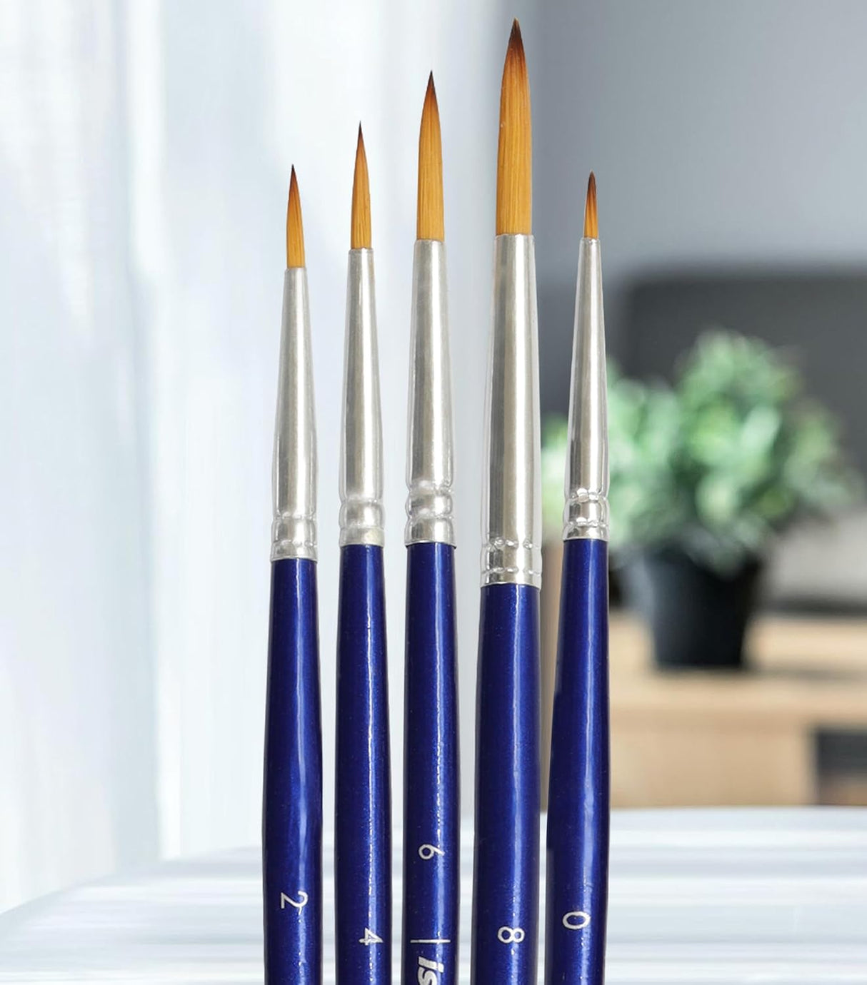 Isomars Estudio Round Paint Brush Set of 5 – Professional Synthetic Round Artist Brushes for Fine Detailing, Line Work & Blending | Long Handle Art Brushes