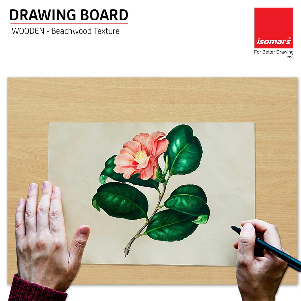 Isomars Drawing Both Side Laminated Beachwood-Textured Board - Full Imperial A3 (14x20 Inch) Size Board – for Artists, Architects, Engineers, Draftsmen Etc. - Isomars