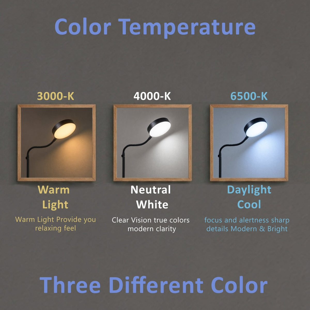 Isomars LED Study, Reading, Laptop, Computer,etc Desk Lamp with Clamp, Flexible Gooseneck, 3 Color Modes (Warm/Natural/Cool), Eye-Care Lighting (Black) - Isomars