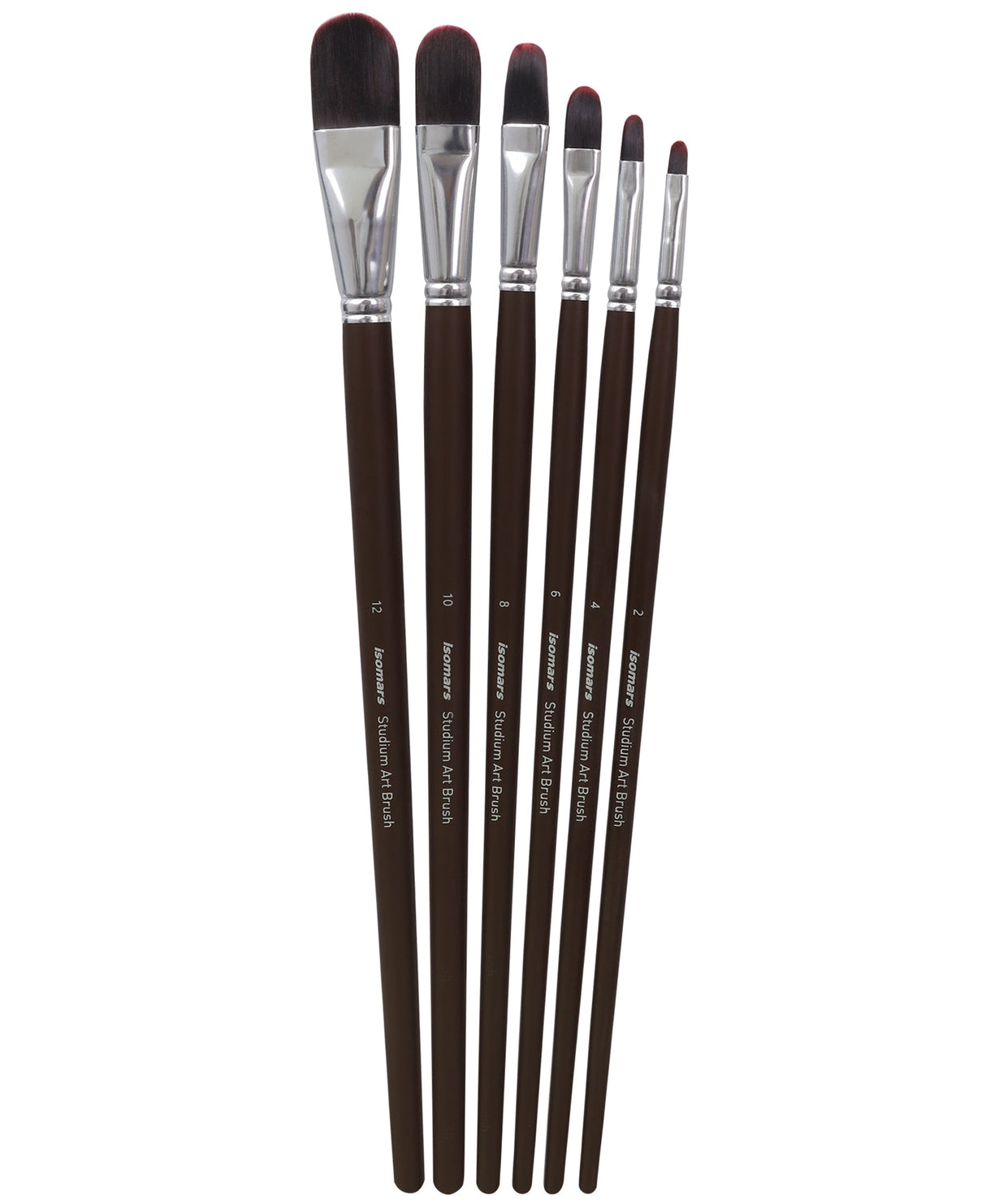 Isomars Professional Filbert Paint Brush Set of 6 for Acrylic, Watercolor & Oil Painting - Isomars