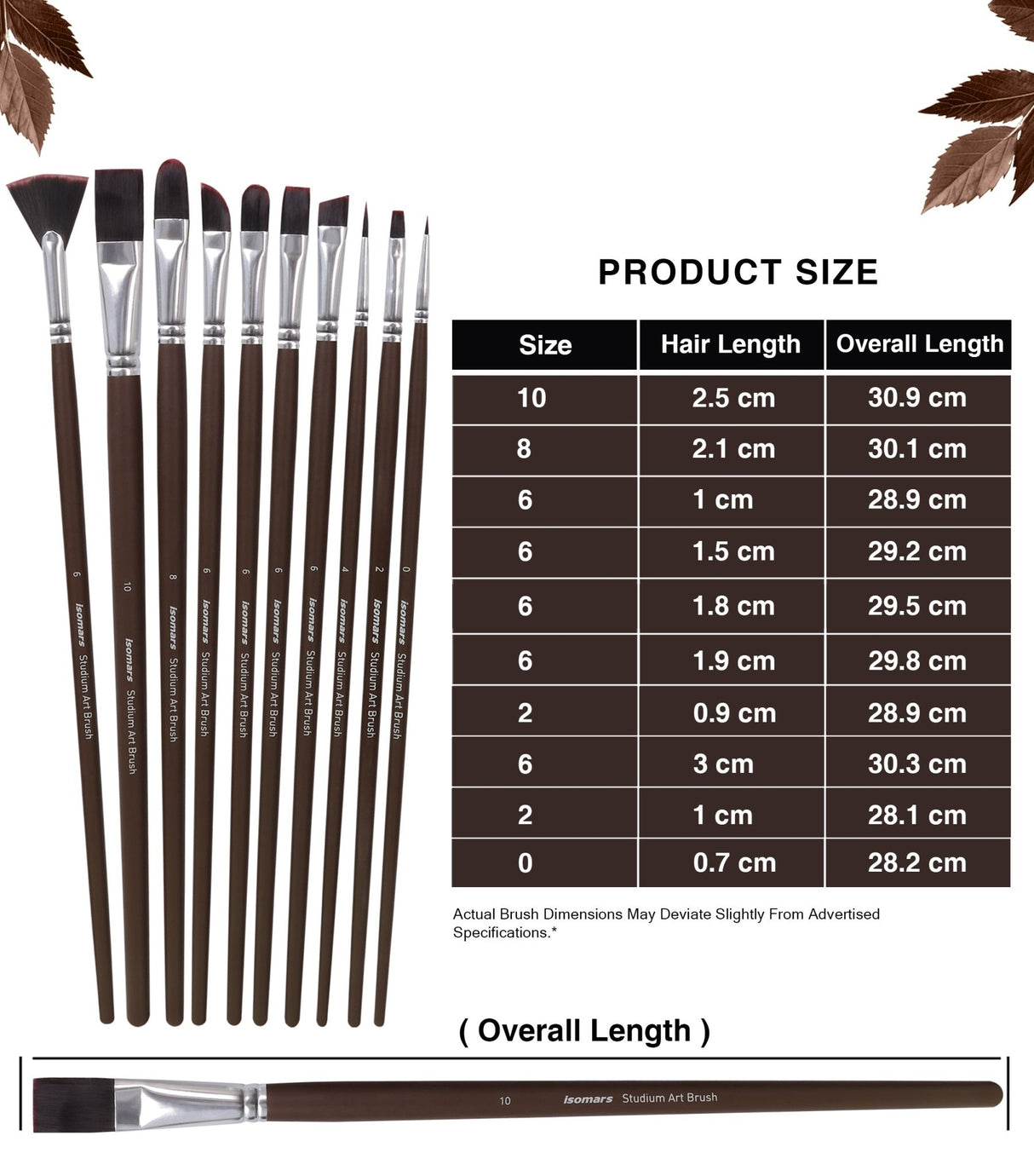 Isomars Studium Extra Long Handle Artist Paint Brush Set of 10 for Acrylic, Oil & Mixed Media Painting - Isomars