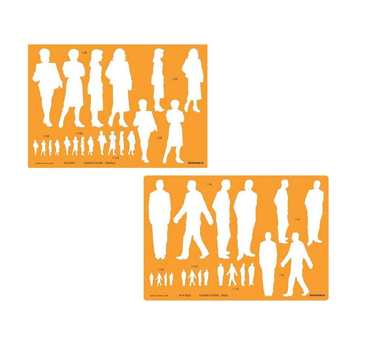 Human Figure Male & Female Multi-Scale Template - Isomars