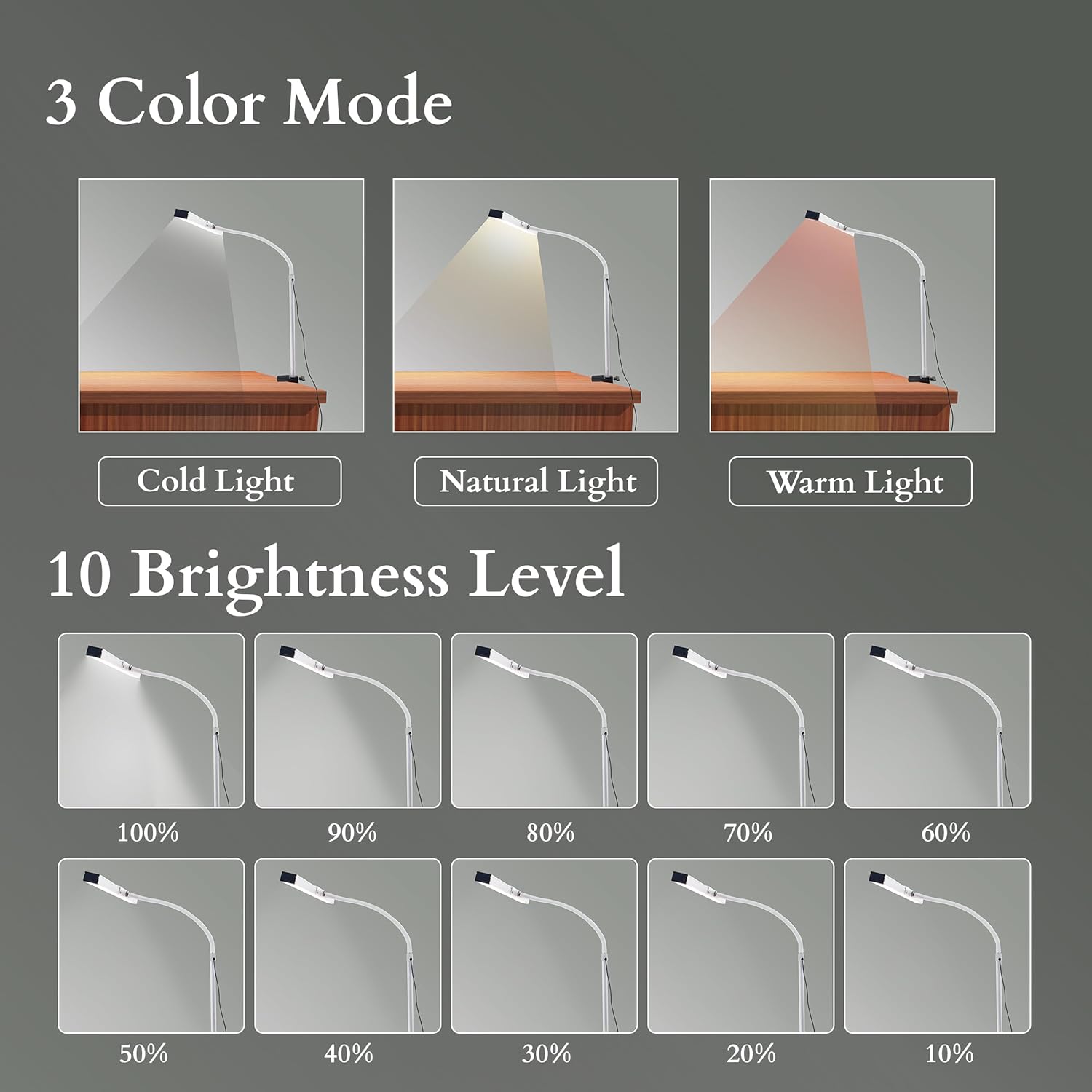 24 Inch Eye Friendly USB Clamp LED Study Lamp for Reading Studying and Working