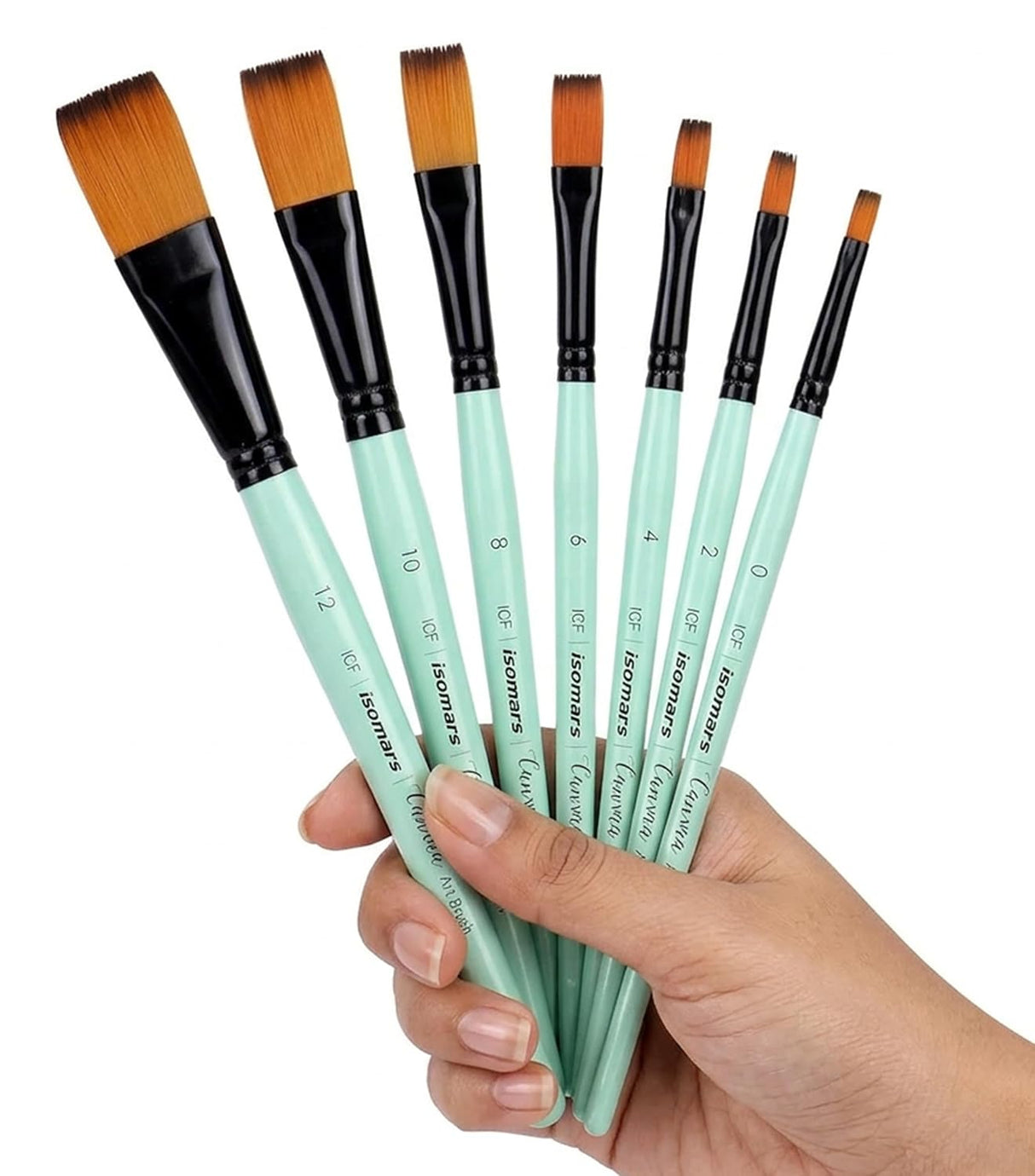 Isomars Flat Paint Brush Set of 7 (0–12) | Professional Synthetic Artist Brushes for Acrylic, Watercolor & Oil Painting | Smooth Finish, No Streaks, Ideal for Artists, Students & Hobbyists