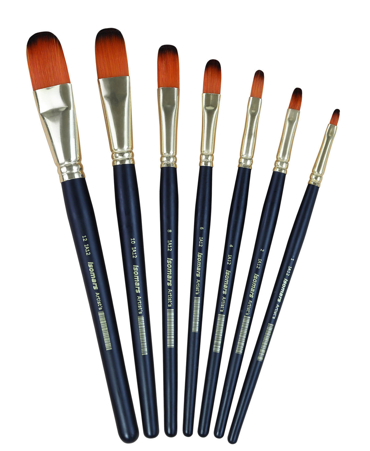 Artist Brush Filbert (Set of 7)
