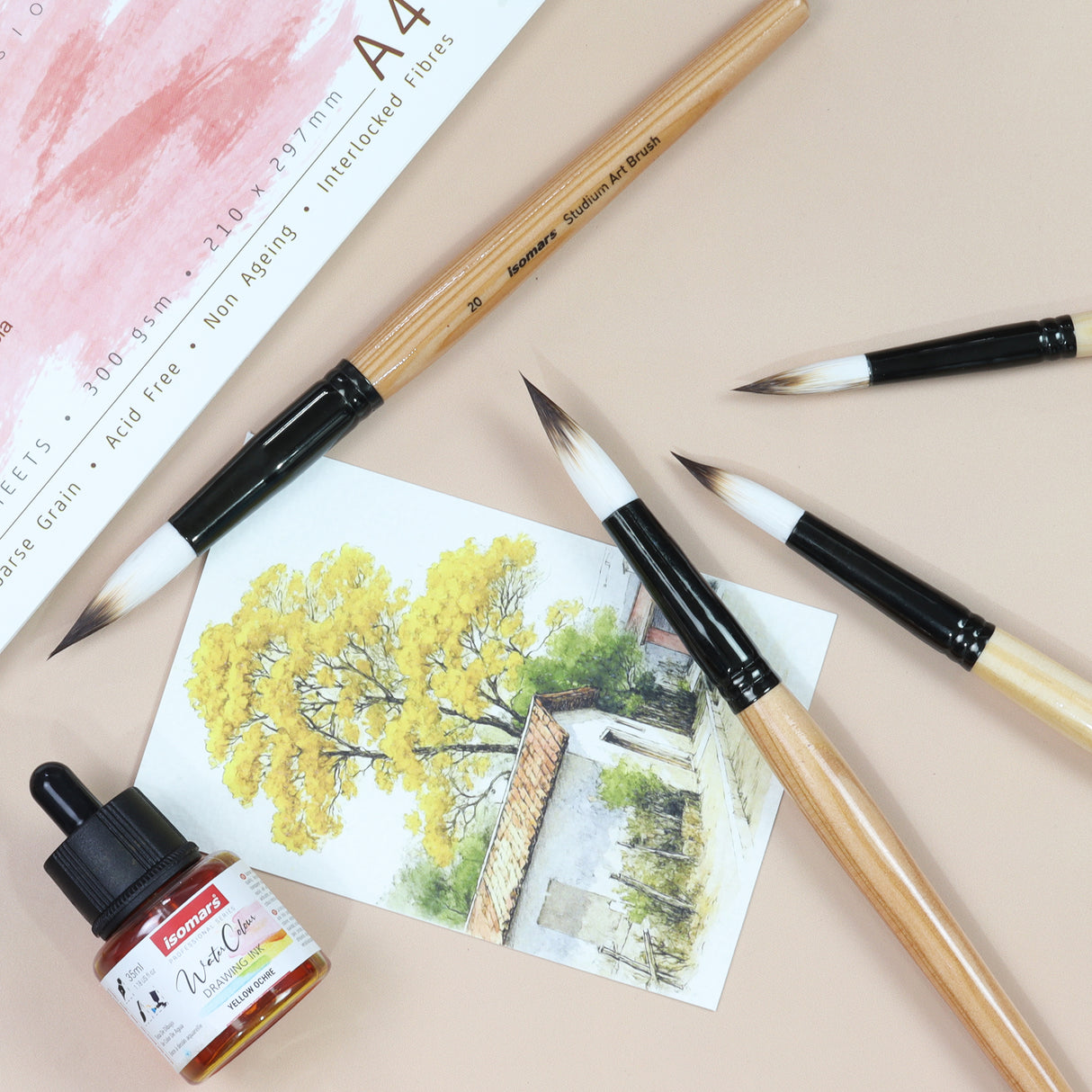 Isomars Watercolour Drawing Ink Set of 12 (35ml Each) with Mop Brush Set of 4 | Vibrant Liquid Watercolor Inks for Calligraphy, Illustration, Airbrush, Painting & Mixed Media Art