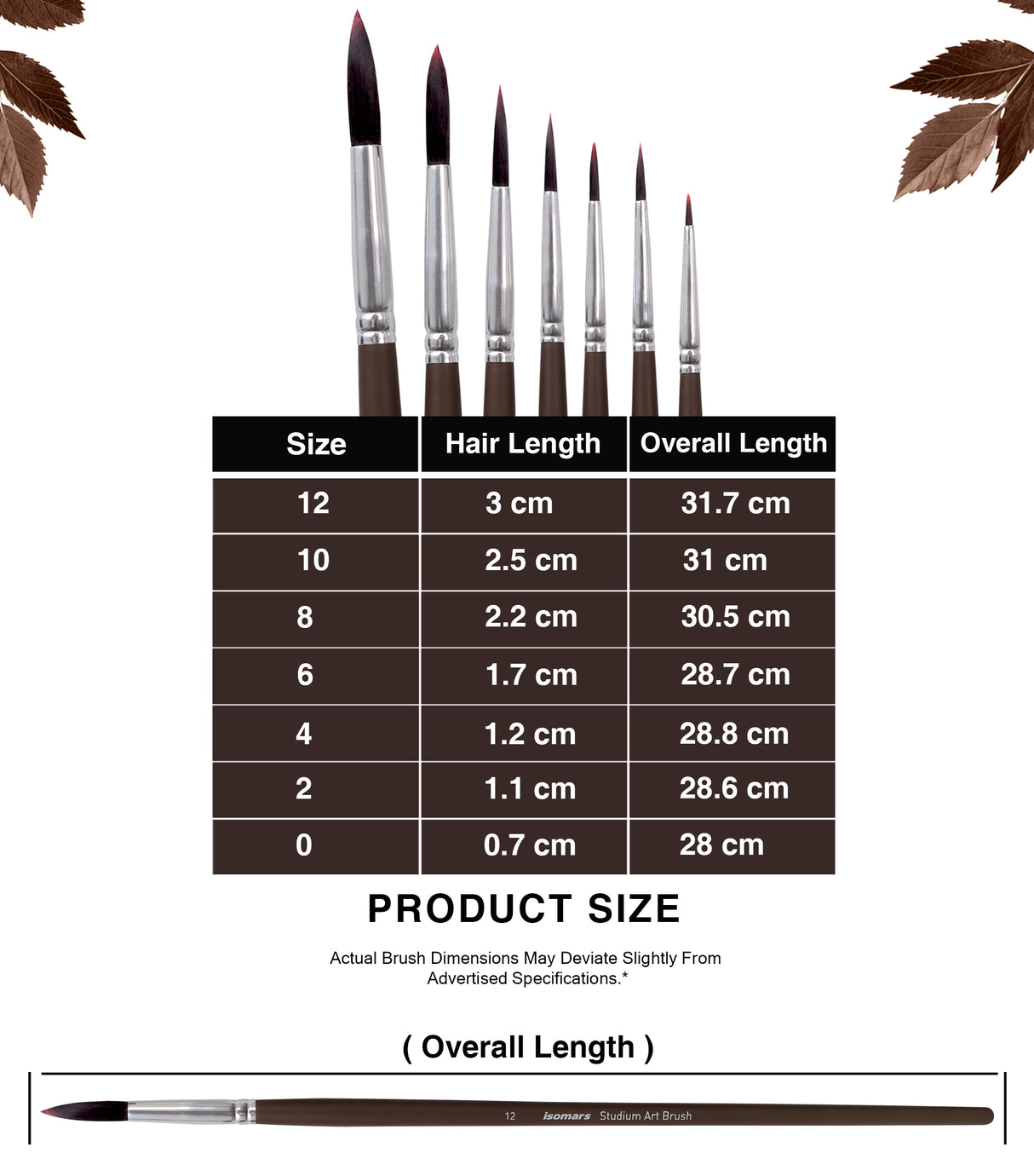 Multi-Size Professional Round Paint Brushes For Artists Students And Beginners