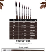 Multi-Size Professional Round Paint Brushes For Artists Students And Beginners
