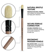 Saphire Professional Paint Brush Set of 10 | Mixed Long Handle Hog Hair Artist Brushes for Acrylic & Oil Painting | Filbert, Fan, Angular, Flat, Round, Deer Foot, Dagger, Cat’s Tongue Canvas Brush Set