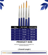 Isomars Estudio Round Paint Brush Set of 5 for Acrylic & Watercolor - Isomars