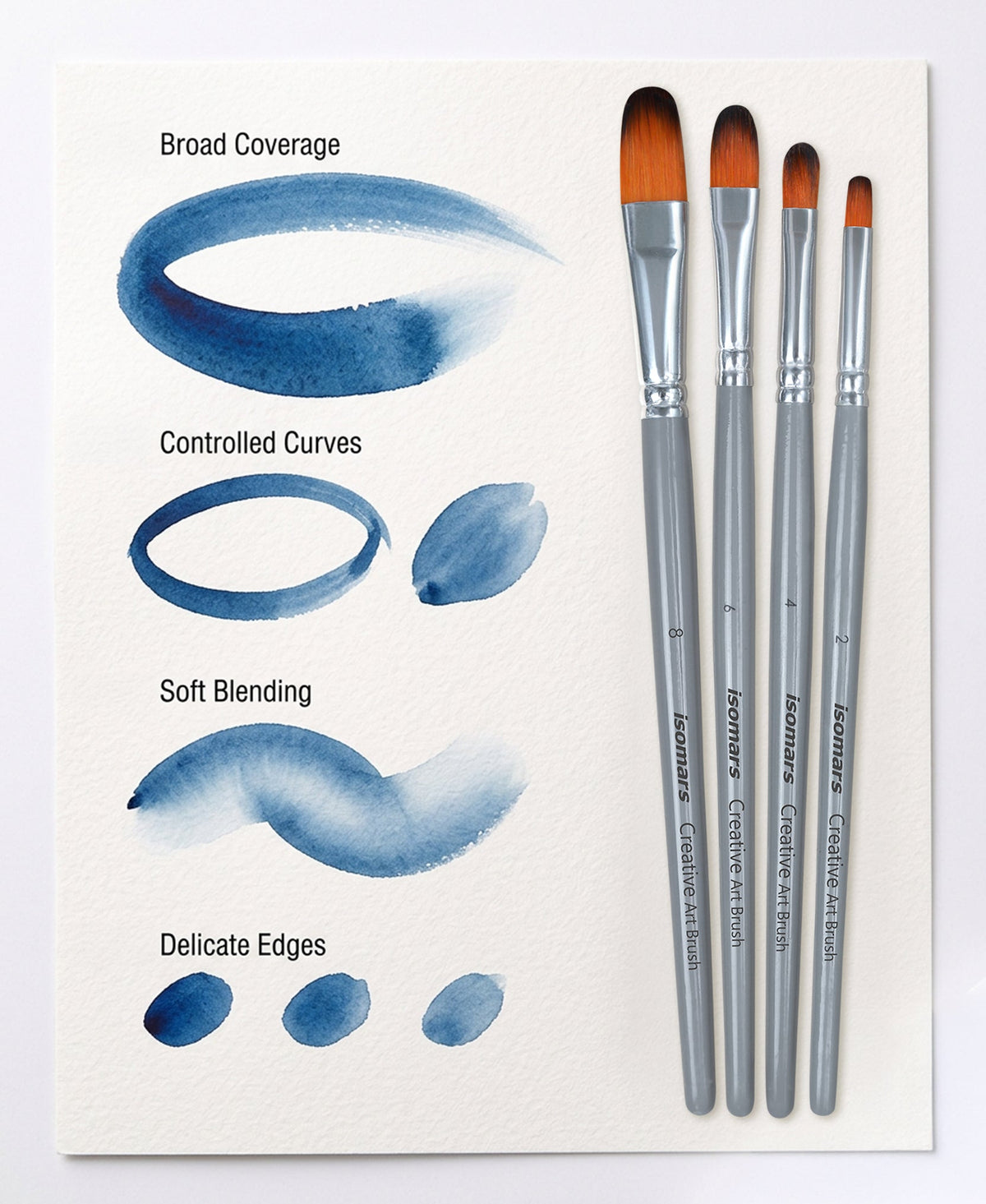 Isomars Filbert Paint Brush Set of 4 - Taklon Hair, Sizes 2, 4, 6, 8 - Isomars