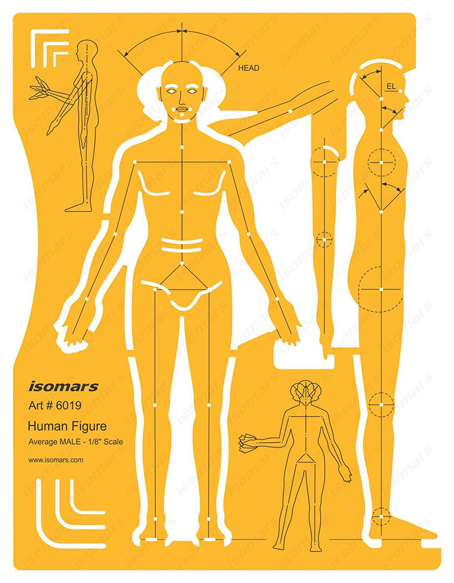 Male Human Figure Drafting and Design Template