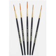 Artist Paint Brush (Set of 5) - Isomars