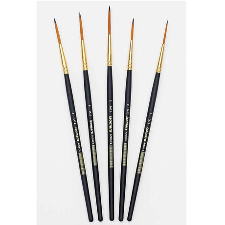 Artist Paint Brush (Set of 5) - Isomars