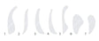 French Ship Curves Template (Set of 7) - Isomars